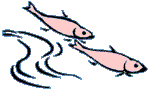 Klamath Salmon Pages homepage