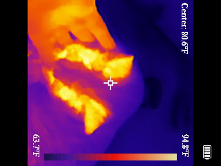 Thermal image scan