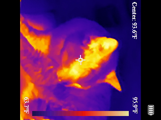 Thermal image scan