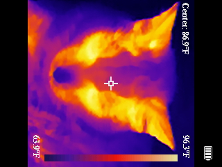 Thermal image scan