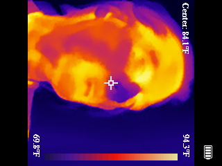 Thermal image scan