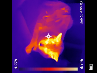 Thermal image scan