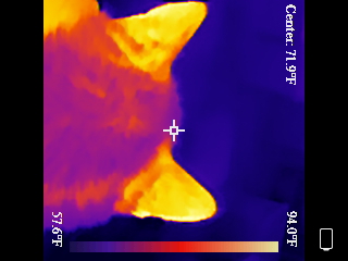 Thermal image scan