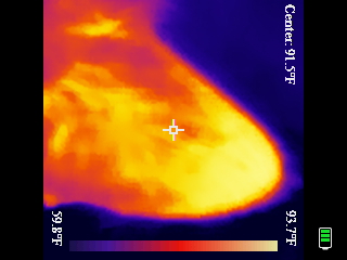 Thermal image scan