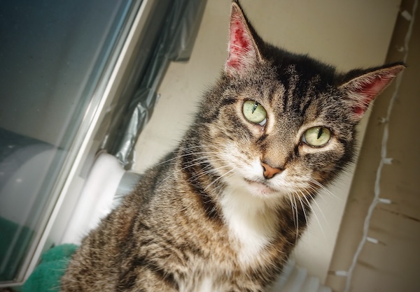 Roxy Photos 2022 Thumbnail