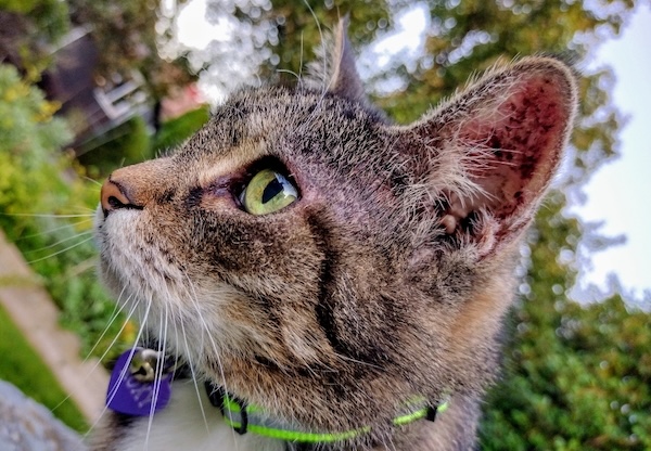 Roxy Photos for October