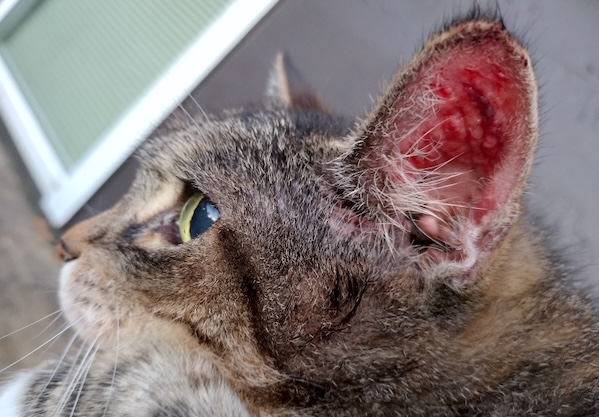 Roxy Photos for January