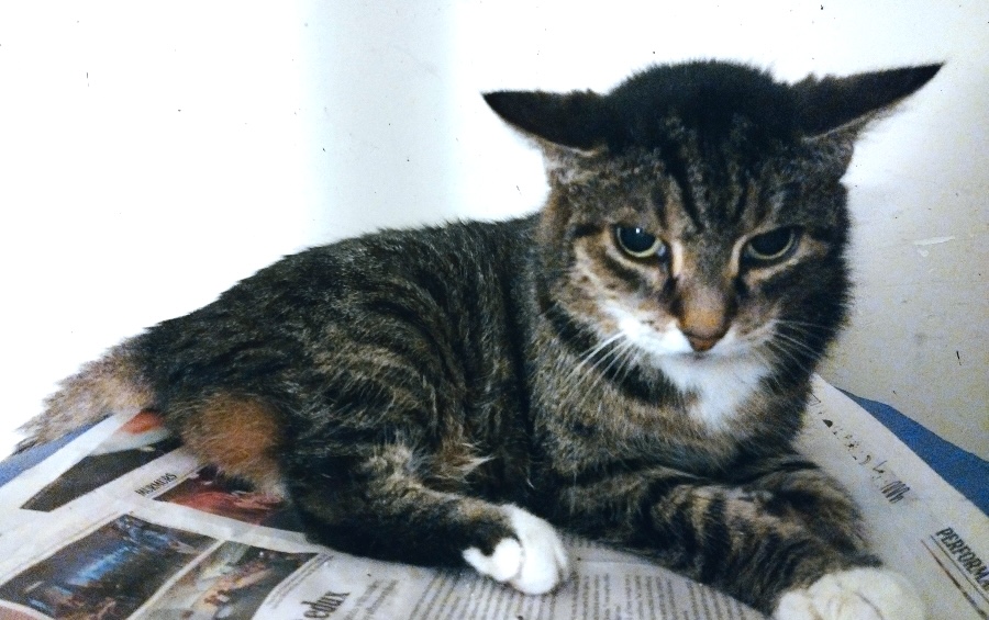 Roxy Photos for February