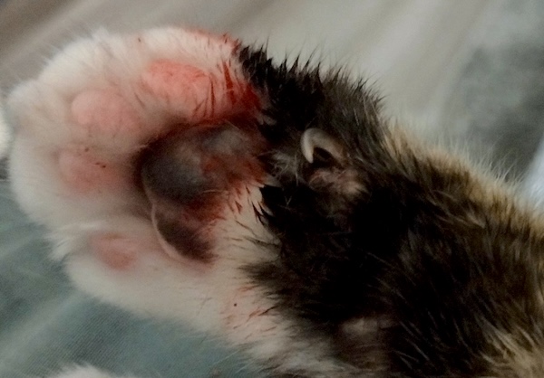 Roxy Photos for June