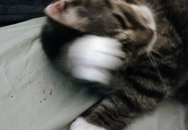 Roxy Photos for July