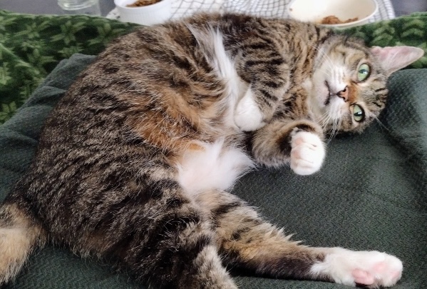 Roxy Photos for September