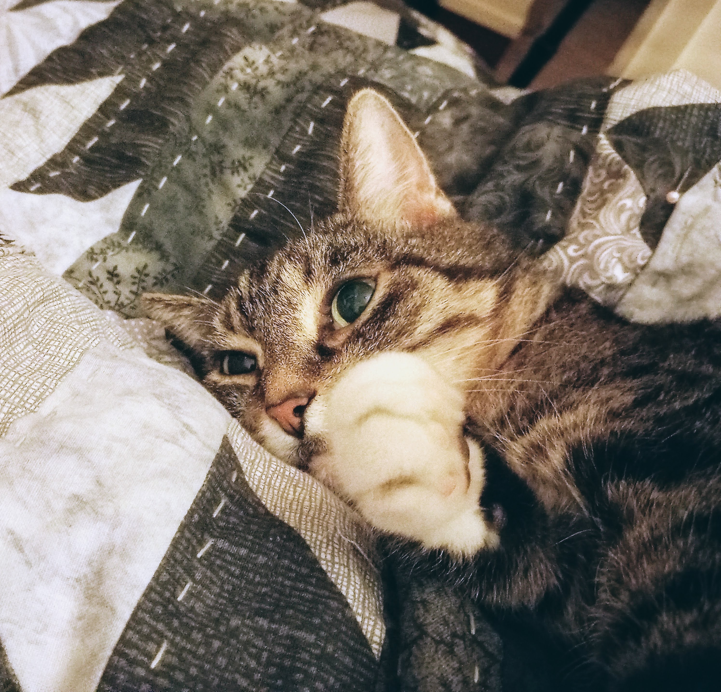 photo of Roxy