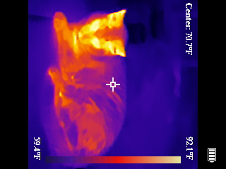 Thermal image scan
