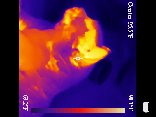 Thermal image scan