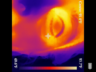 Thermal image scan