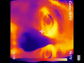 Thermal image scan