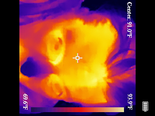 Thermal image scan