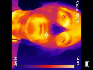 Thermal image scan