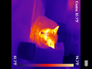 Thermal image scan