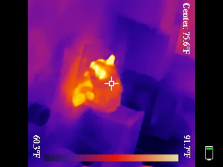 Thermal image scan